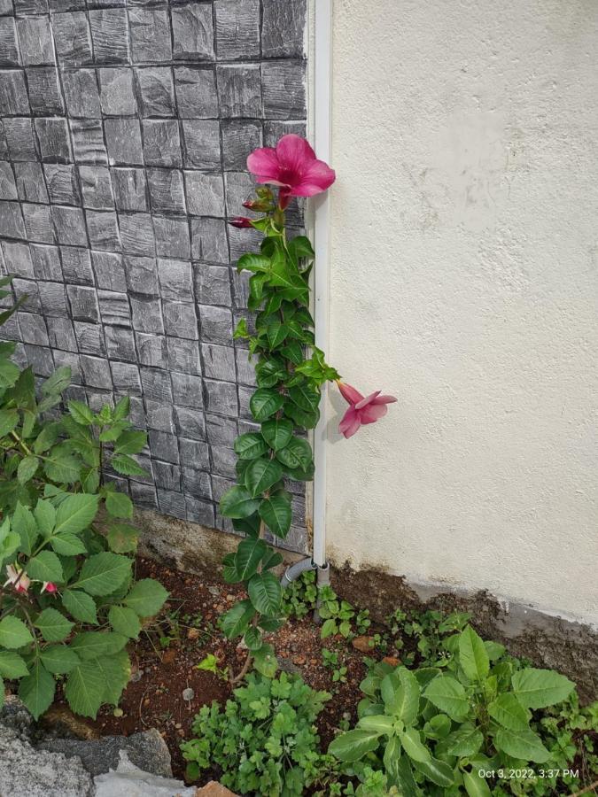 Ambience Villas Yercaud Esterno foto