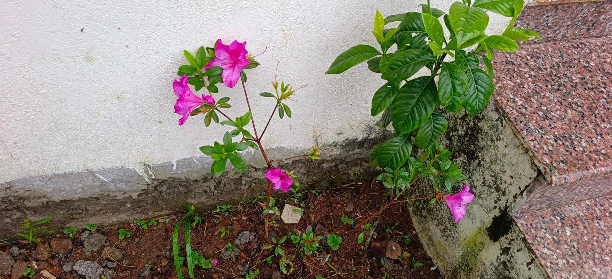 Ambience Villas Yercaud Esterno foto